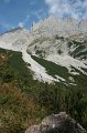 IMG_7003