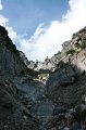IMG_7010