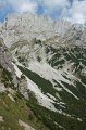 IMG_7018