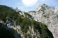 IMG_7021
