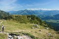IMG_7047