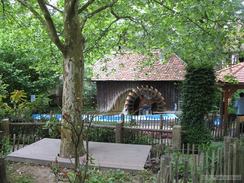 IMG_0144.JPG