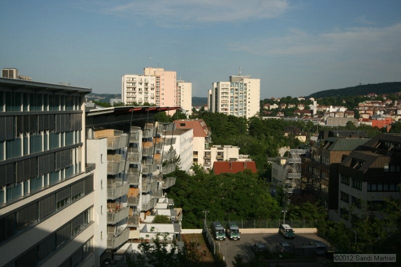 IMG_7920.JPG