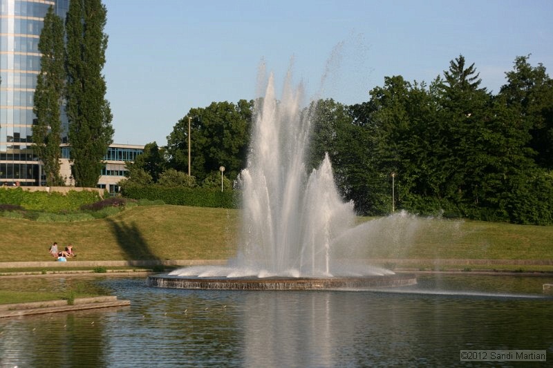 IMG_7933.JPG