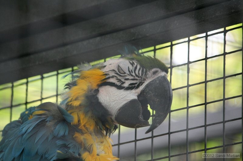 IMG_8003.JPG