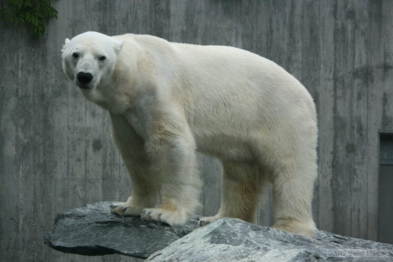 IMG_8073.JPG