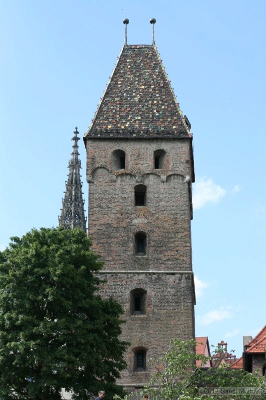 IMG_8555.JPG
