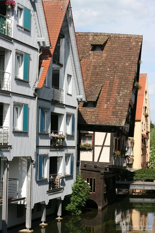 IMG_8595.JPG