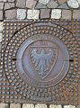 IMG_0982