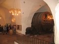 IMG_5546