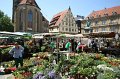 IMG_7913