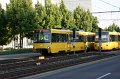 IMG_7941