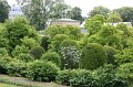 IMG_7979