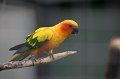 IMG_7993