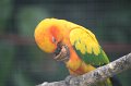 IMG_8001