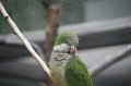 IMG_8006