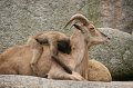 IMG_8013