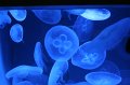 IMG_8086