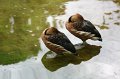 IMG_8099