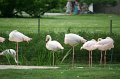 IMG_8106