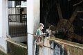 IMG_8204
