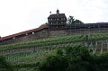 IMG_8233
