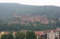 IMG_8242