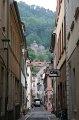 IMG_8262
