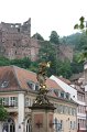 IMG_8265