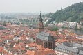 IMG_8282