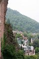 IMG_8283