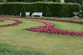 IMG_8378