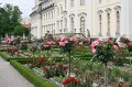 IMG_8384