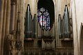 IMG_8486