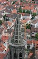 IMG_8516
