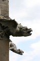 IMG_8519