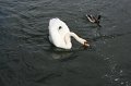 IMG_8560