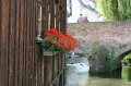 IMG_8583