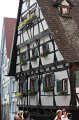 IMG_8590