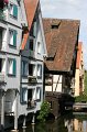 IMG_8595
