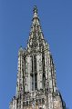 IMG_8608