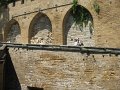 IMG_9679