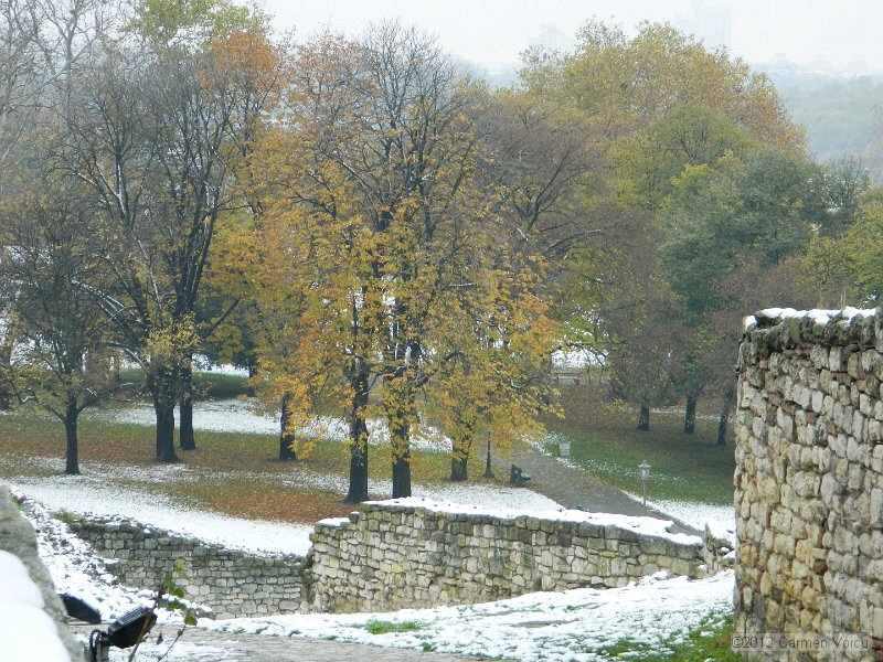 DSCN5387.JPG