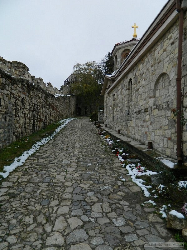 DSCN5388.JPG