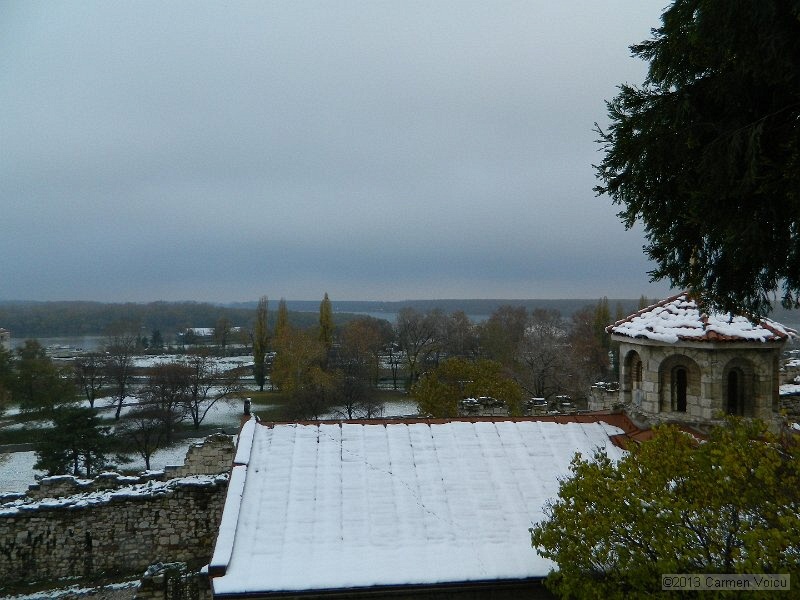 DSCN5390.JPG