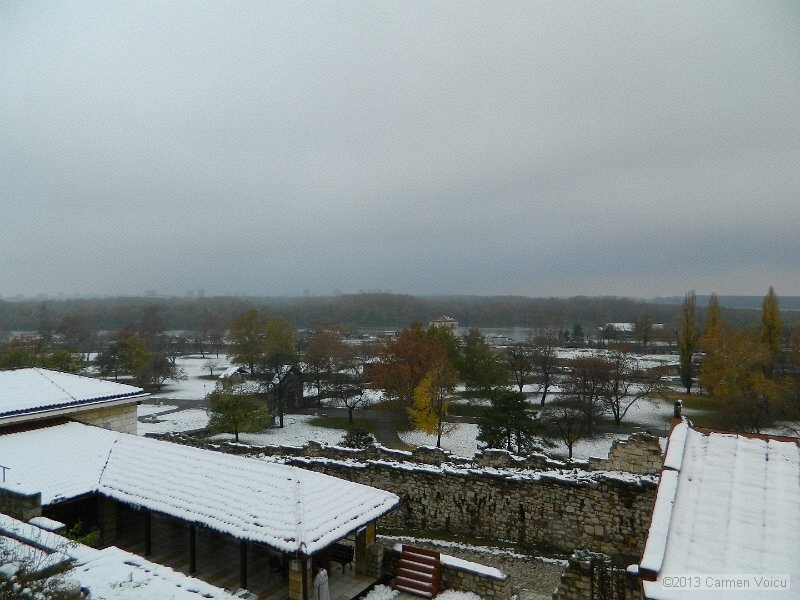 DSCN5391.JPG
