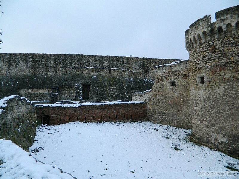 DSCN5398.JPG
