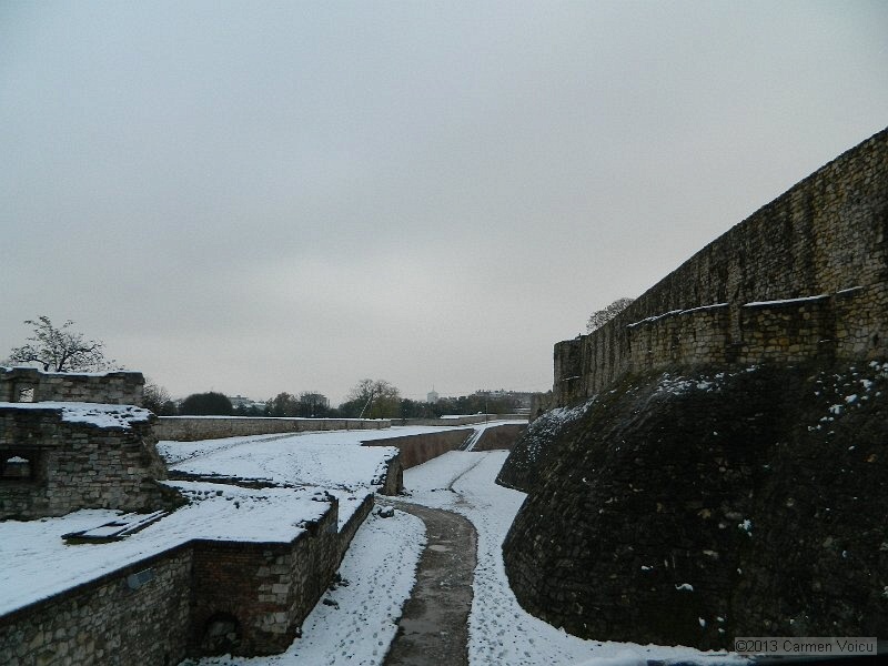 DSCN5401.JPG