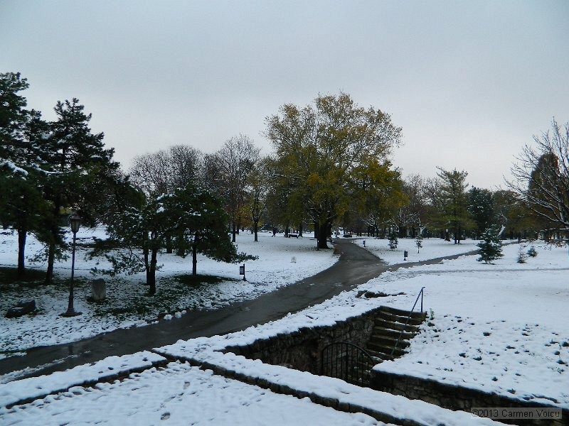 DSCN5402.JPG