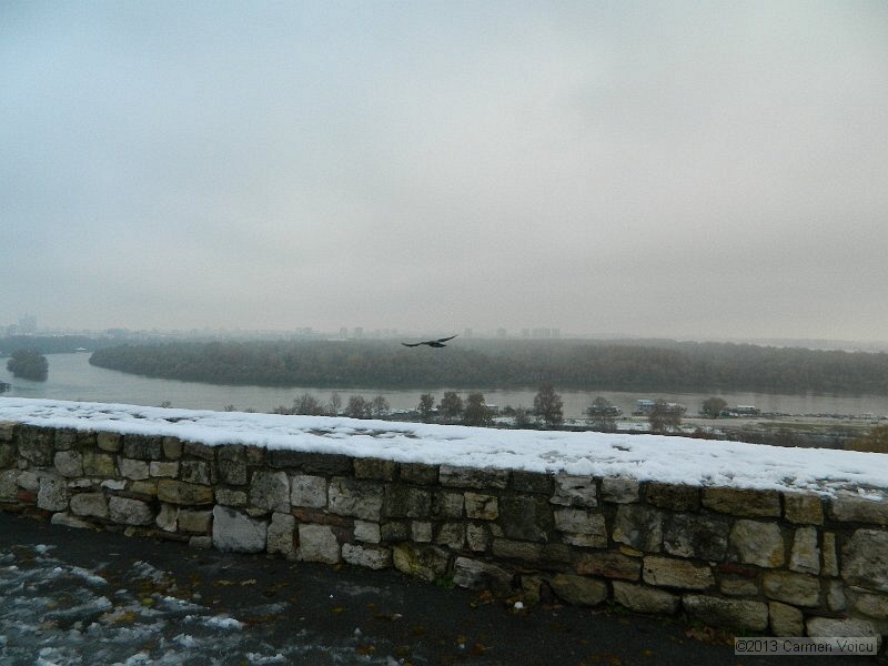 DSCN5404.JPG